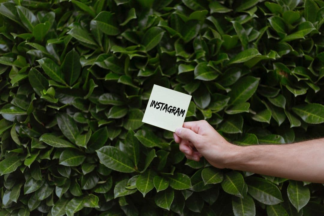 Unlocking an audience for your business with Instagram